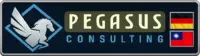 Pegasus Expert Consulting Logo